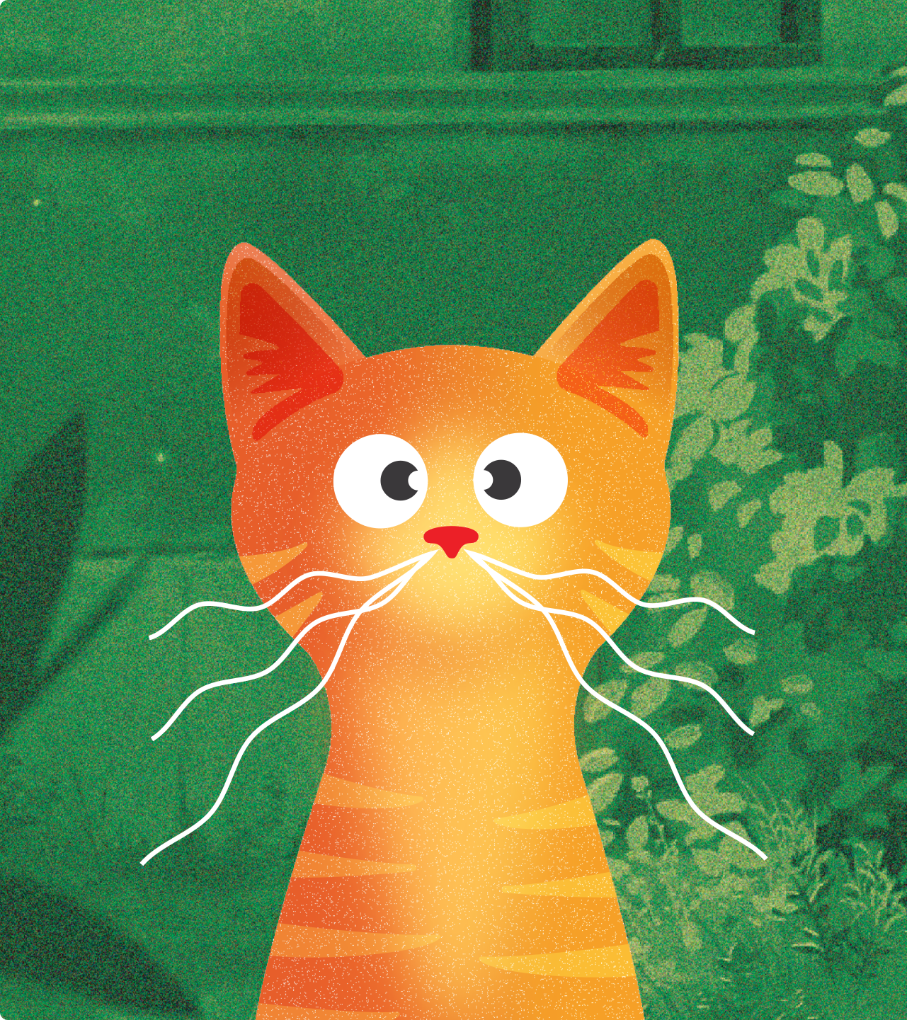 Cattitude